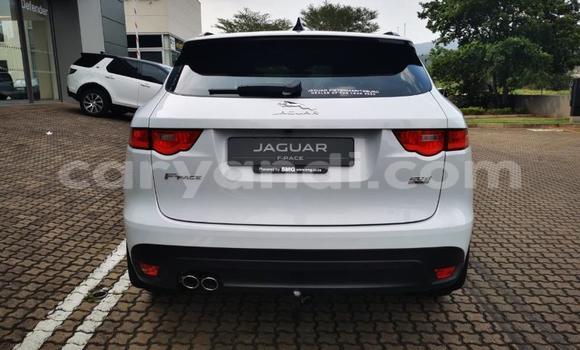 Tenga Tsaru Jaguar F-Pace Chena Mota in Chingola in Zambia Tenga Tsaru Jaguar F-Pace Chena Mota in Chingola in Zambia
