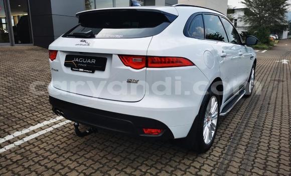 Tenga Tsaru Jaguar F-Pace Chena Mota in Chingola in Zambia Tenga Tsaru Jaguar F-Pace Chena Mota in Chingola in Zambia