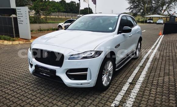 Tenga Tsaru Jaguar F-Pace Chena Mota in Chingola in Zambia Tenga Tsaru Jaguar F-Pace Chena Mota in Chingola in Zambia