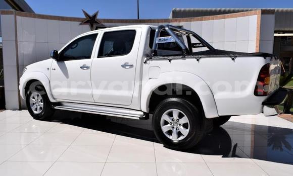 Buy Used Toyota Hilux White Car in Chipata in Zambia Buy Used Toyota Hilux White Car in Chipata in Zambia