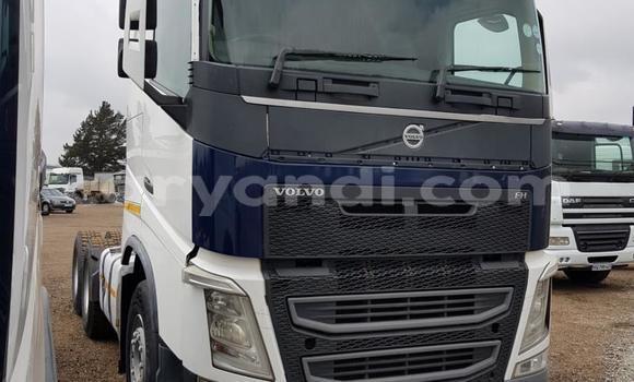 Buy Used Volvo F4 White Truck in Mazabuka in Southern