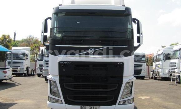 Buy Used Volvo F4 White Truck in Mazabuka in Southern