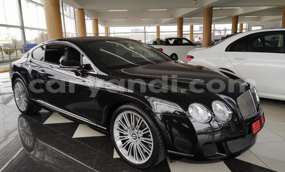 Tenga Tsaru Bentley Continental GT Nhema Mota in Chinsali in Northern Tenga Tsaru Bentley Continental GT Nhema Mota in Chinsali in Northern