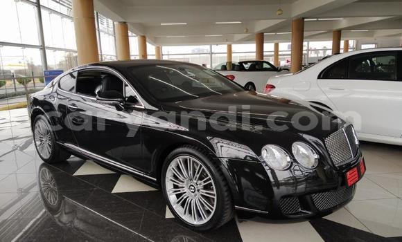 Tenga Tsaru Bentley Continental GT Nhema Mota in Chinsali in Northern Tenga Tsaru Bentley Continental GT Nhema Mota in Chinsali in Northern