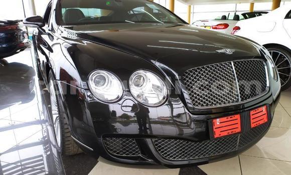 Tenga Tsaru Bentley Continental GT Nhema Mota in Chinsali in Northern Tenga Tsaru Bentley Continental GT Nhema Mota in Chinsali in Northern