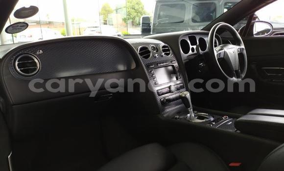 Tenga Tsaru Bentley Continental GT Nhema Mota in Chinsali in Northern Tenga Tsaru Bentley Continental GT Nhema Mota in Chinsali in Northern