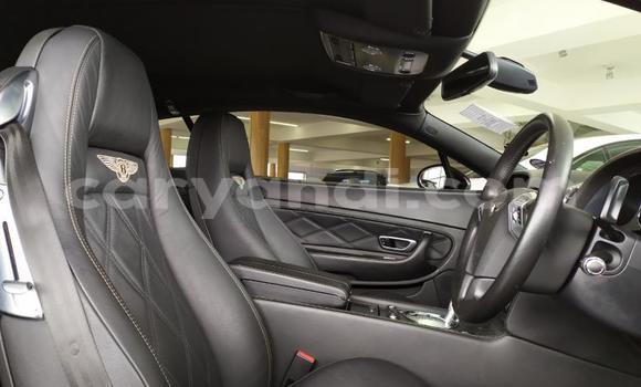 Tenga Tsaru Bentley Continental GT Nhema Mota in Chinsali in Northern Tenga Tsaru Bentley Continental GT Nhema Mota in Chinsali in Northern