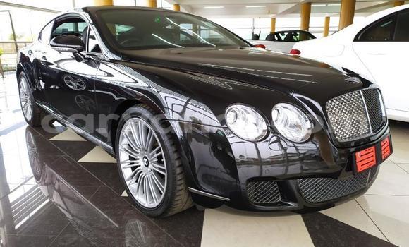 Tenga Tsaru Bentley Continental GT Nhema Mota in Chinsali in Northern Tenga Tsaru Bentley Continental GT Nhema Mota in Chinsali in Northern