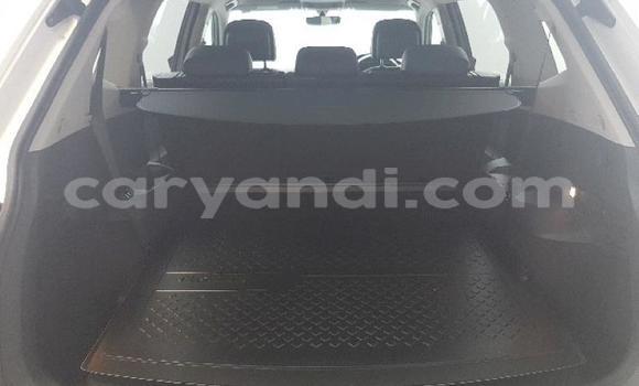 Tenga Tsaru Volkswagen Tiguan Chena Mota in Chilanga in Lusaka Tenga Tsaru Volkswagen Tiguan Chena Mota in Chilanga in Lusaka