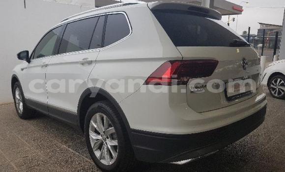 Tenga Tsaru Volkswagen Tiguan Chena Mota in Chilanga in Lusaka Tenga Tsaru Volkswagen Tiguan Chena Mota in Chilanga in Lusaka