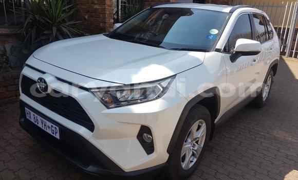 Buy Used Toyota RAV4 White Car in Zambezi in North-Western