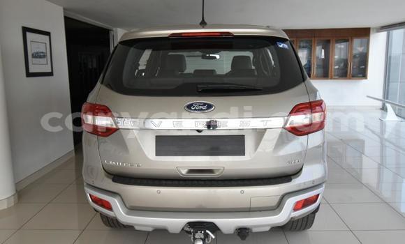 Acheter Occasion Voiture Ford Everest Gris à Katete, Est Acheter Occasion Voiture Ford Everest Gris à Katete, Est