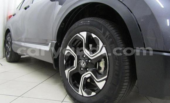 Nunua Ilio tumika Honda CR–V Nyingine Gari ndani ya Kitwe nchini Zambia Nunua Ilio tumika Honda CR–V Nyingine Gari ndani ya Kitwe nchini Zambia