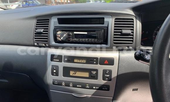 Buy Used Toyota Corolla Other Car in Lusaka in Zambia Buy Used Toyota Corolla Other Car in Lusaka in Zambia
