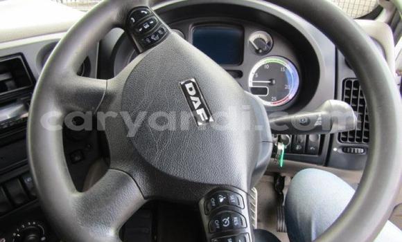 Tenga Tsaru DAF CF Chena Rori in Choma in Southern Tenga Tsaru DAF CF Chena Rori in Choma in Southern