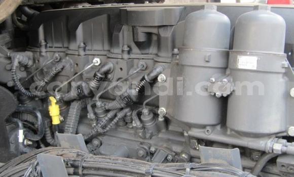 Tenga Tsaru DAF CF Chena Rori in Choma in Southern Tenga Tsaru DAF CF Chena Rori in Choma in Southern