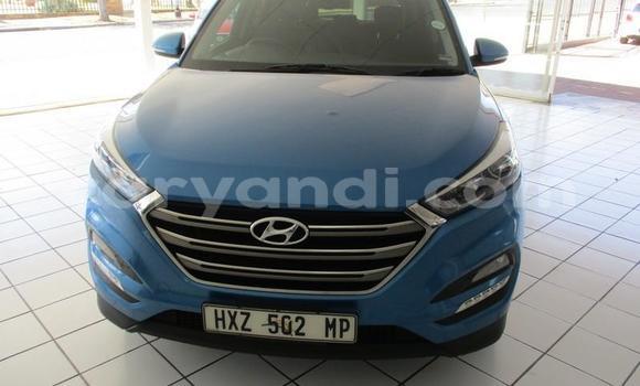 Buy Used Hyundai Tucson Blue Car in Kitwe in Zambia Buy Used Hyundai Tucson Blue Car in Kitwe in Zambia
