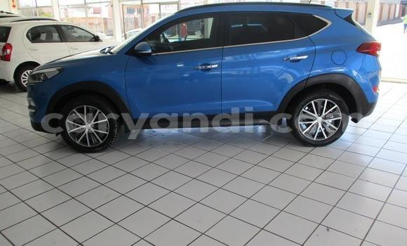 Buy Used Hyundai Tucson Blue Car in Kitwe in Zambia Buy Used Hyundai Tucson Blue Car in Kitwe in Zambia