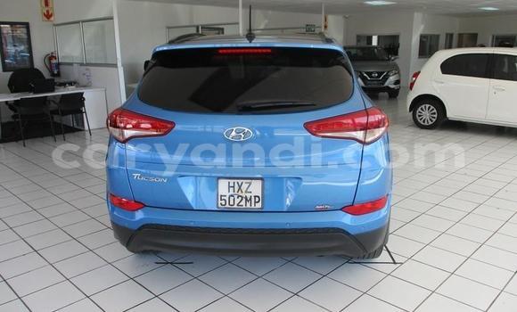 Buy Used Hyundai Tucson Blue Car in Kitwe in Zambia Buy Used Hyundai Tucson Blue Car in Kitwe in Zambia