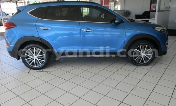 Buy Used Hyundai Tucson Blue Car in Kitwe in Zambia Buy Used Hyundai Tucson Blue Car in Kitwe in Zambia
