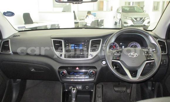 Buy Used Hyundai Tucson Blue Car in Kitwe in Zambia Buy Used Hyundai Tucson Blue Car in Kitwe in Zambia