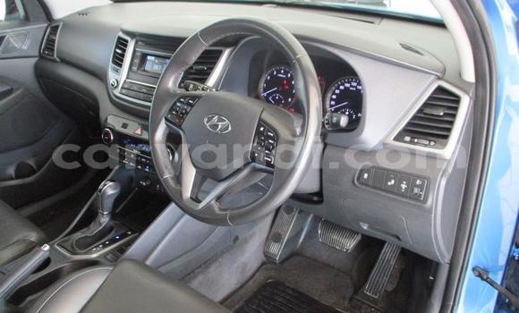 Buy Used Hyundai Tucson Blue Car in Kitwe in Zambia Buy Used Hyundai Tucson Blue Car in Kitwe in Zambia