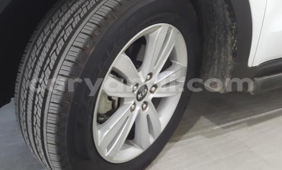 Acheter Occasion Voiture Kia Sportage Blanc à Chilanga, Lusaka Acheter Occasion Voiture Kia Sportage Blanc à Chilanga, Lusaka