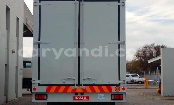 Tenga Tsaru Isuzu FTR 850 Chena Rori in Choma in Southern Tenga Tsaru Isuzu FTR 850 Chena Rori in Choma in Southern