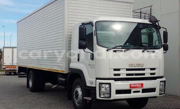 Tenga Tsaru Isuzu FTR 850 Chena Rori in Choma in Southern Tenga Tsaru Isuzu FTR 850 Chena Rori in Choma in Southern