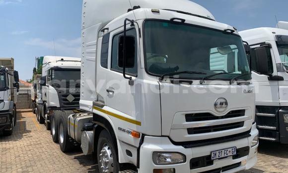Buy Used Nissan UD White Truck in Kabwe in Zambia