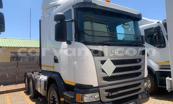 Buy Used Scania R420 White Truck in Chingola in Zambia