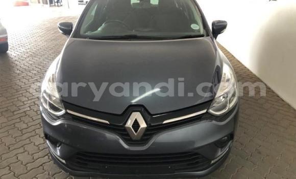 Buy Used Renault Clio Other Car in Isoka in Northern