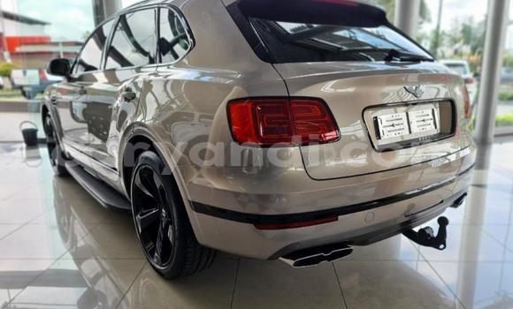 Buy Used Bentley Bentayga Silver Car in Livingstone in Zambia Buy Used Bentley Bentayga Silver Car in Livingstone in Zambia