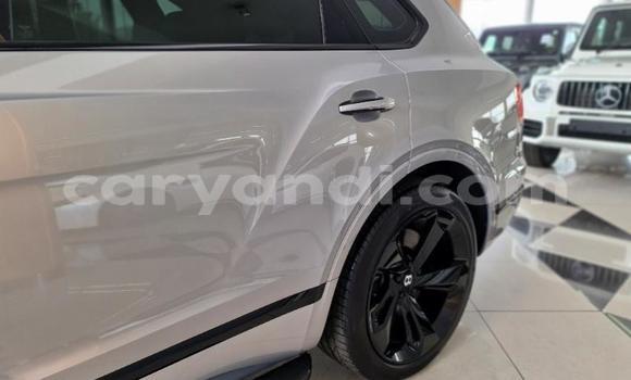 Buy Used Bentley Bentayga Silver Car in Livingstone in Zambia Buy Used Bentley Bentayga Silver Car in Livingstone in Zambia