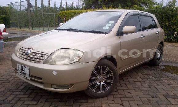 Buy Used Toyota Allex Other Car in Chipata in Zambia