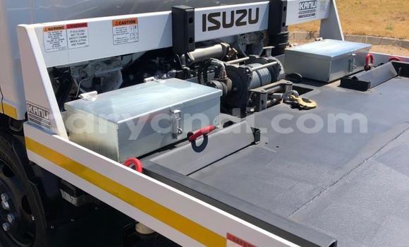 Acheter Occasion Utilitaire Isuzu FTR 850 Blanc à Chilanga, Lusaka Acheter Occasion Utilitaire Isuzu FTR 850 Blanc à Chilanga, Lusaka
