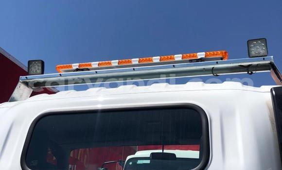 Acheter Occasion Utilitaire Isuzu FTR 850 Blanc à Chilanga, Lusaka Acheter Occasion Utilitaire Isuzu FTR 850 Blanc à Chilanga, Lusaka