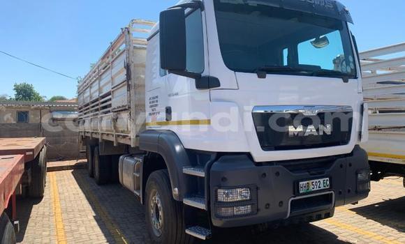 Buy Used Man TGX White Truck in Limulunga in Western