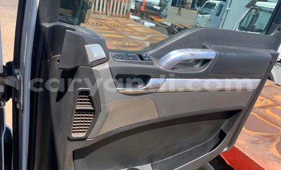 Acheter Occasion Utilitaire Man TGX Blanc à Limulunga, Occidental Acheter Occasion Utilitaire Man TGX Blanc à Limulunga, Occidental