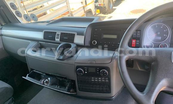 Acheter Occasion Utilitaire Man TGX Blanc à Limulunga, Occidental Acheter Occasion Utilitaire Man TGX Blanc à Limulunga, Occidental