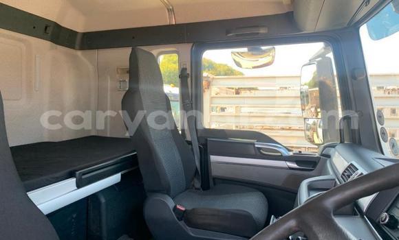 Acheter Occasion Utilitaire Man TGX Blanc à Limulunga, Occidental Acheter Occasion Utilitaire Man TGX Blanc à Limulunga, Occidental