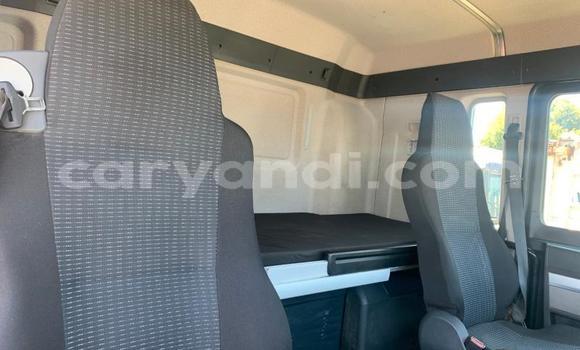 Acheter Occasion Utilitaire Man TGX Blanc à Limulunga, Occidental Acheter Occasion Utilitaire Man TGX Blanc à Limulunga, Occidental