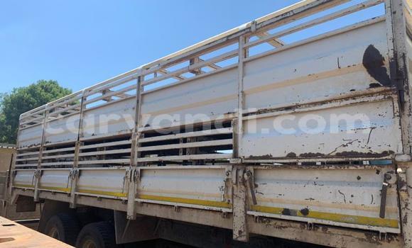 Acheter Occasion Utilitaire Man TGX Blanc à Limulunga, Occidental Acheter Occasion Utilitaire Man TGX Blanc à Limulunga, Occidental