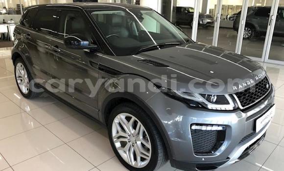 Nunua Ilio tumika Land Rover Range Rover Evoque Fedha Gari ndani ya Ndola nchini Zambia