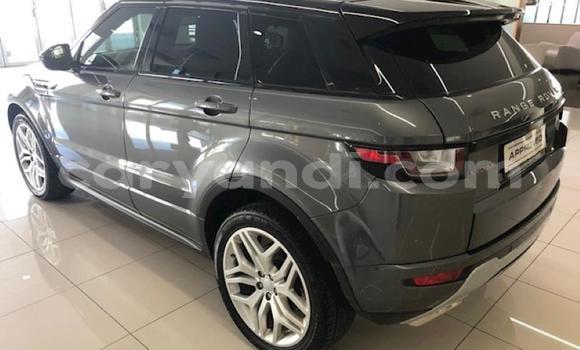 Acheter Occasion Voiture Land Rover Range Rover Evoque Gris à Ndola, Zambie Acheter Occasion Voiture Land Rover Range Rover Evoque Gris à Ndola, Zambie