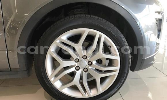 Acheter Occasion Voiture Land Rover Range Rover Evoque Gris à Ndola, Zambie Acheter Occasion Voiture Land Rover Range Rover Evoque Gris à Ndola, Zambie