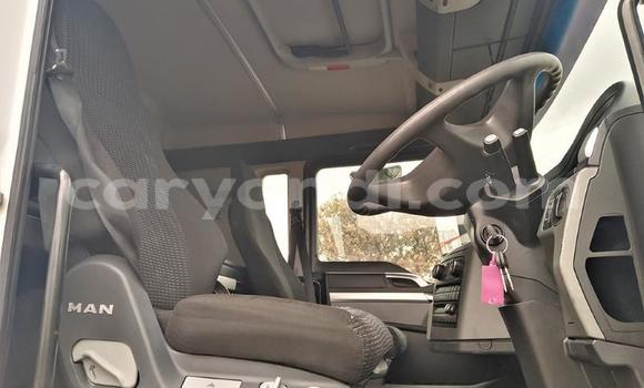Buy Used Man TGX White Truck in Mazabuka in Southern Buy Used Man TGX White Truck in Mazabuka in Southern