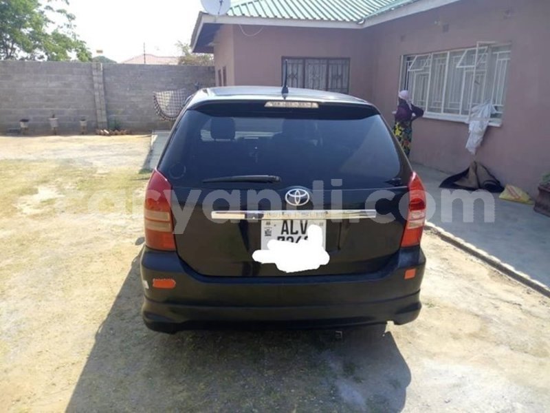 Big with watermark 43880256 157845481824638 895143421541351424 o