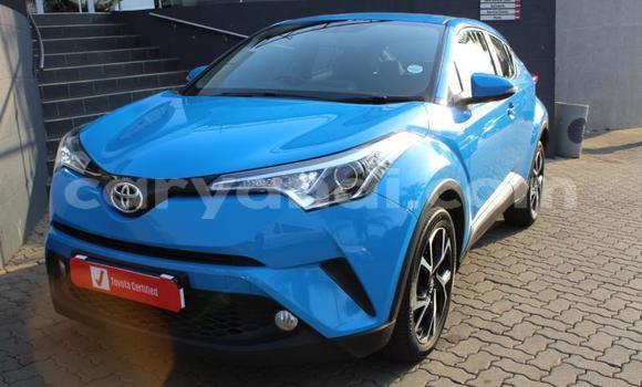 Tenga Tsaru Toyota C-HR Bhuruu Mota in Lusaka in Zambia