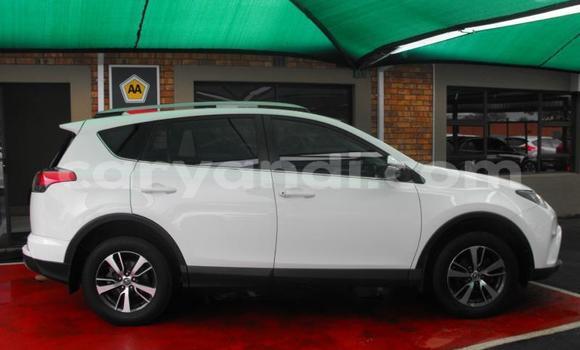 Tenga Tsaru Toyota RAV4 Chena Mota in Chilanga in Lusaka Tenga Tsaru Toyota RAV4 Chena Mota in Chilanga in Lusaka